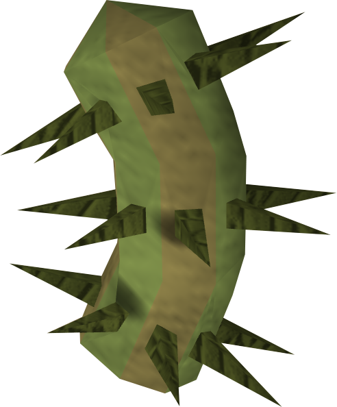 File:Potato cactus detail.png