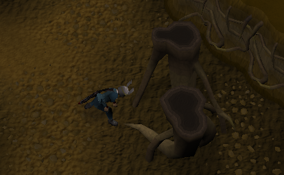File:Searchingroots.png