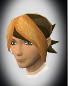File:Zanaris Fringe chathead.png