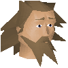 File:Brian (archery) chathead.png