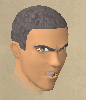 File:DraynortreeguardHD.png