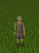 File:Enchanted Salve Amulet.gif