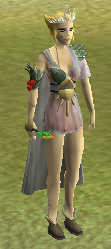 File:Queen of Sunrise.png
