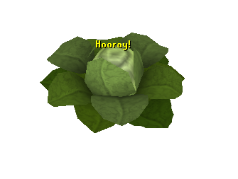 File:Brassica.png