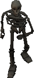 File:Skeleton.png