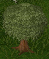 File:Nice tree.png