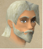 File:Sir bedivere chathead.png