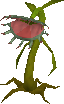 File:Stranger plant.png