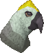 File:Guthix raptor chathead.png