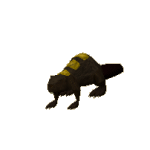 File:Beaver.png
