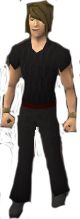 File:Reinald's Smithing Emporium Gold clasps.png