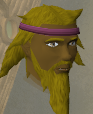 File:Tinsay chathead.png