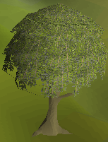 File:Willowtree2.png