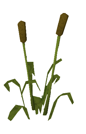 File:Reeds.png