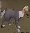 File:Experiment 51.png