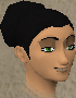 File:Hild chathead.png