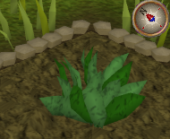 File:GreenHerb4.png
