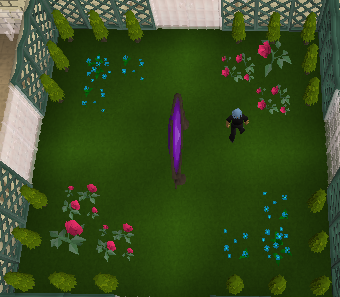 File:Tall fancy hedge detail.png