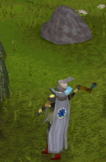 File:Teleported log.gif