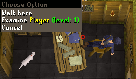 File:Invisible player.png