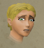 File:Signy chat.png