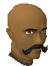 File:Waxed.png