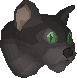 File:Black overgrown cat chathead.png