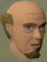 File:Fidelio chathead.png