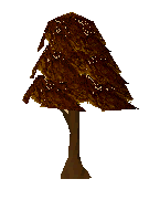 File:Maple tree old.png