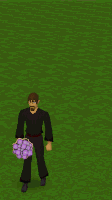 File:Bouquet.gif