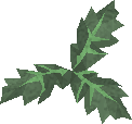 File:Clean aloe detail.png