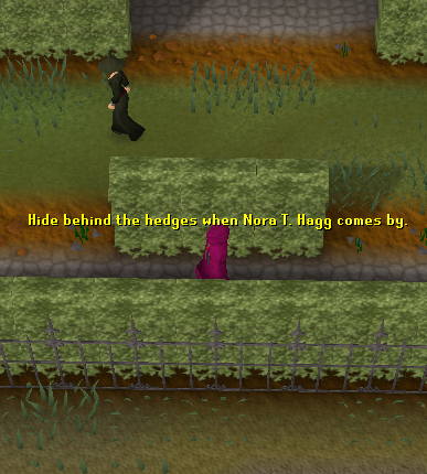 File:Hedgehide.png