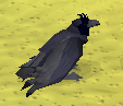 File:Blue mohawked raven.png