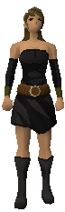 File:Hardworn minidress.png