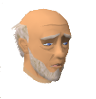 File:Trader Sven chathead.png