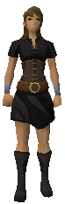 File:Doublet and bodice.png