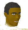 File:Kangai Mau chathead.png
