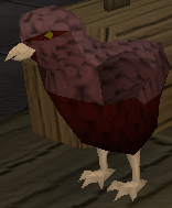 File:Red raven chick.png