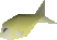 Thumbnail for version as of 23:33, 8 January 2024