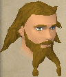 File:Skulgrimen chathead.png