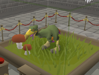 File:Terrorbird display.png