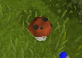File:Player mushroom.png