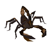 Poison Scorpion