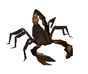 File:Scorpianv2.png