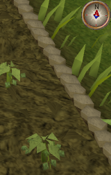 File:Hammerstone1.png