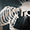 Thumbnail for version as of 23:41, 8 January 2024