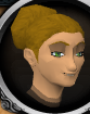 File:Information clerk chathead.png