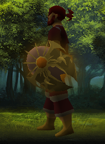 File:Solarius Shield equipped.png