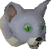 File:Bones (kitten).png