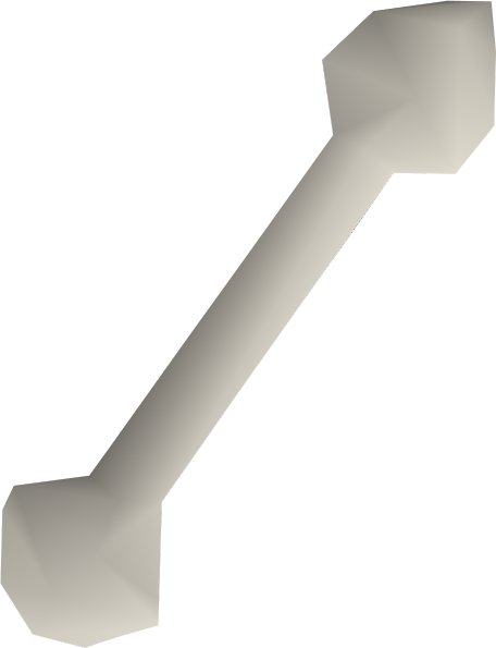 File:Polished giant rat bone detail.png